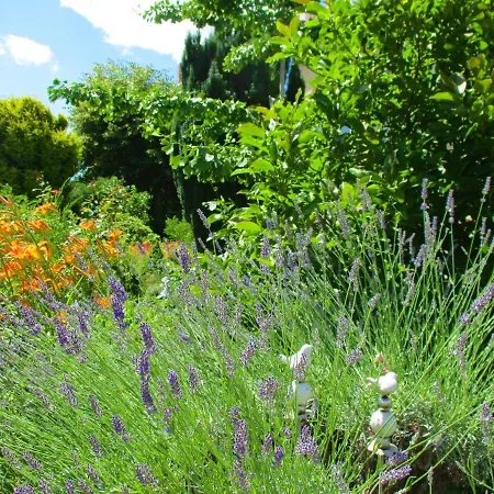 Apartment Villa Freia Dresden - Exklusive Ferienwohnung Zum Erholen & Entspannen