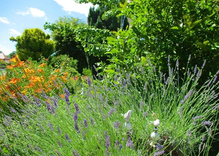 Apartament Freia - Exklusive Zum Erholen & Entspannen